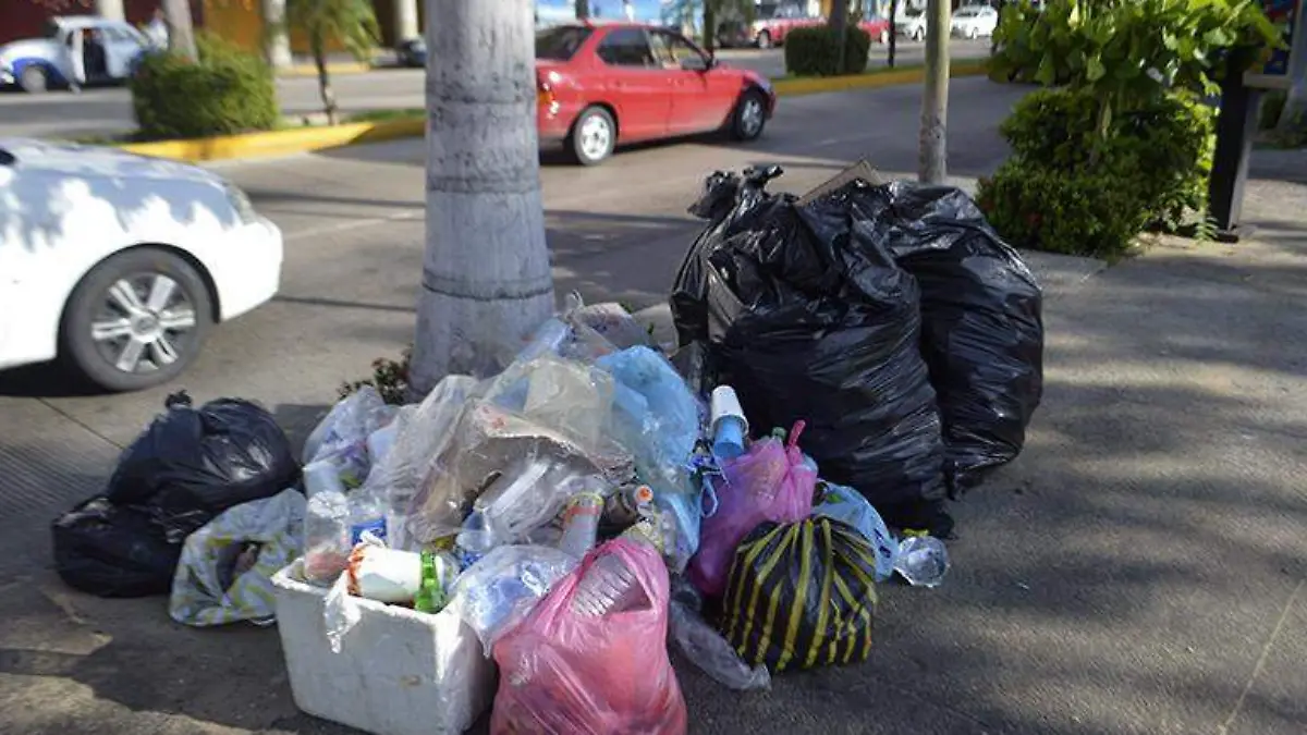 Basura costera miguel alemán